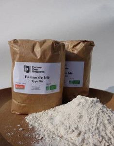 Farine de blé Demeter T80