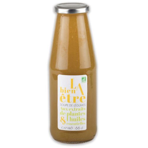 SOUPE "LA BIEN ETRE" - 66CL