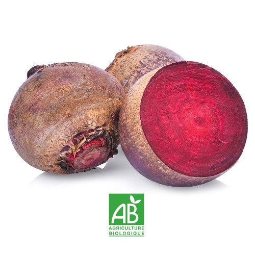 Betterave rouge Bio