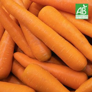 CAROTTES LAVEES BIO