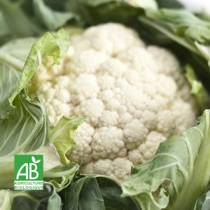 CHOUX FLEUR BIO