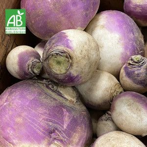 NAVET VIOLET BIO