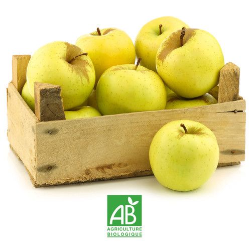 POMMES GOLDEN AOP LIMOUSIN BIO