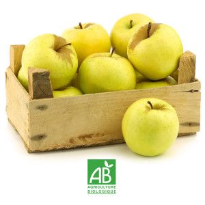 POMMES GOLDEN AOP LIMOUSIN BIO