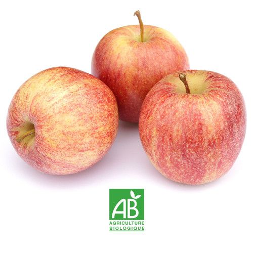 POMME ROYAL GALA BIO