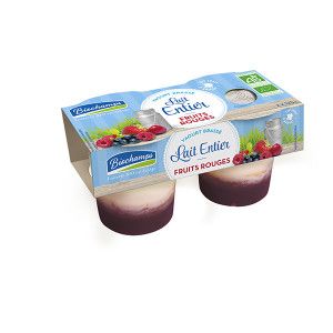 Yaourt brassé Fruits rouges 2x125g Biochamps
