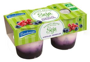 SOJA BIFIDUS MYRTILLES 2X125G Biochamps