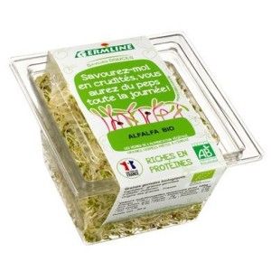 GRAINES GERMEES ALFALFA 60G