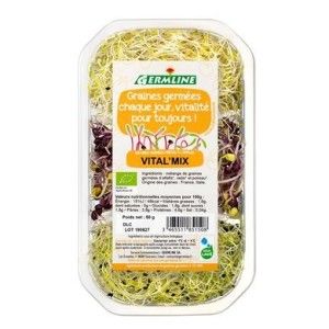 GRAINES GERMEES VITAL MIX 50G