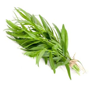 Botte d'Estragon frais