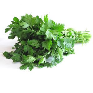 Botte de Persil Plat frais