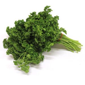 Botte de Persil Frisé frais