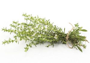 Botte de Sarriette fraiche