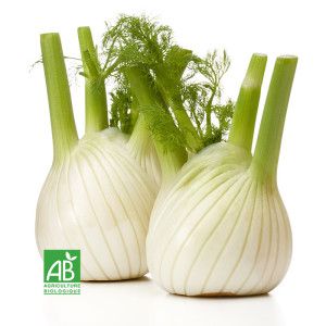 Fenouil Bio