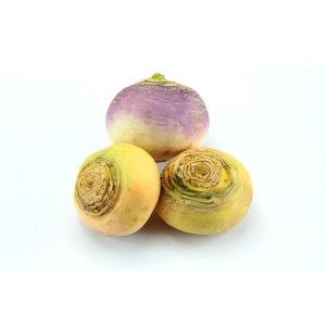 NAVET BOULE D'OR
