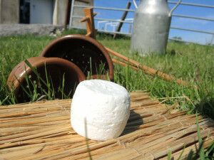 Crottin de chèvre bio demi sec 115g
