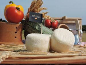 Crottin de chavignol aop bio 2x 40g