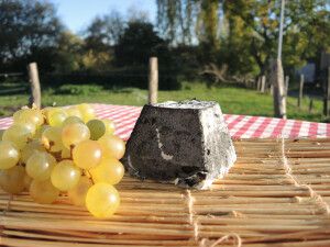 Pyramide cendrée bio de chèvre 300g