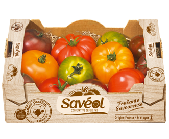 tomate gourmande plateau 1.5 kg