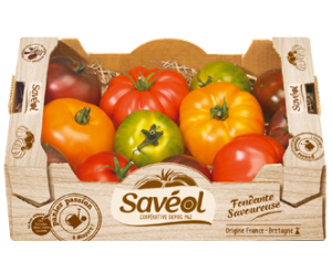 tomate gourmande plateau 1.5 kg