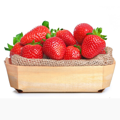 FRAISES CLERY BIO 250g